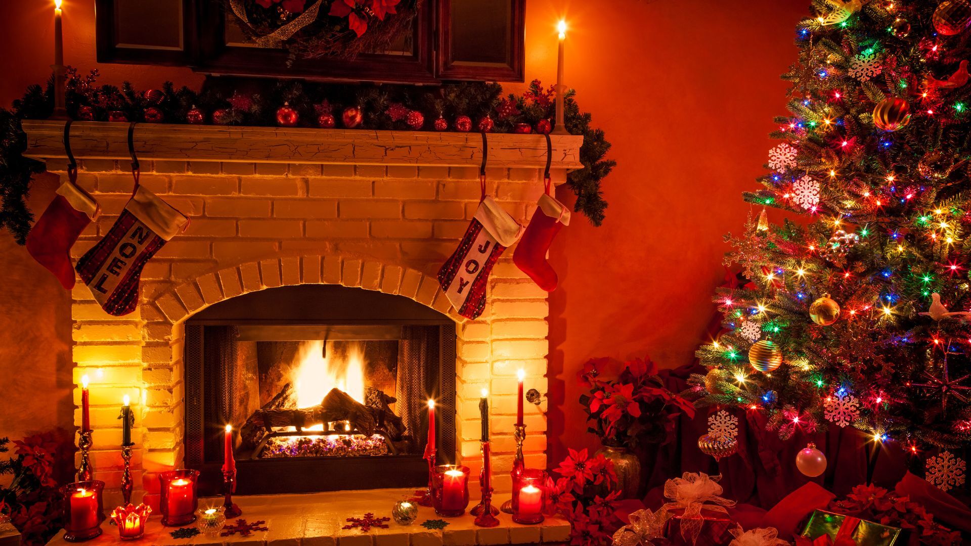 A living room with an open fire and christmas tree 