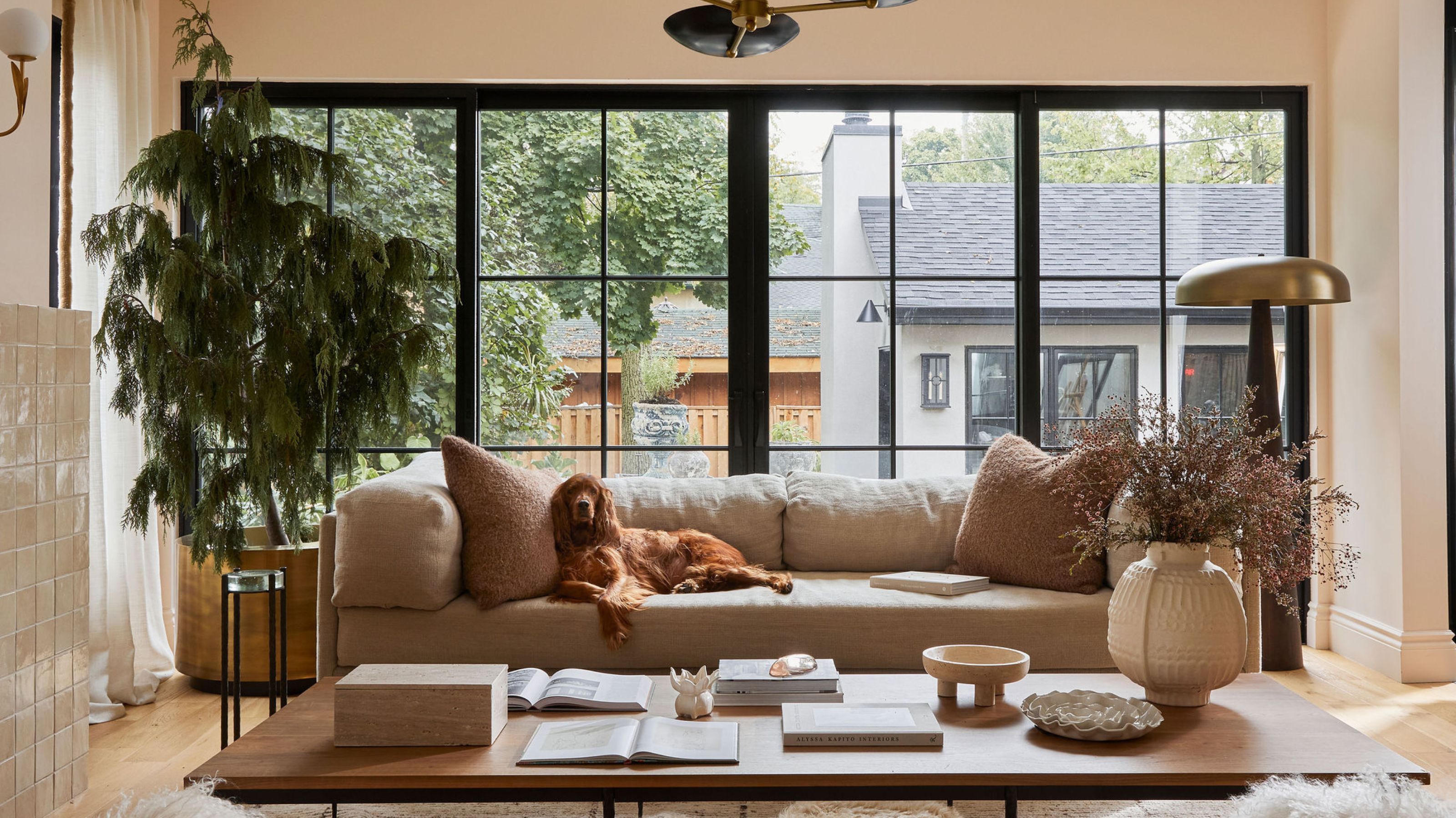 A neutral living room with large black metal windows taking up on wall. There is a large beige sofa with a dog sitting on it and a tree to the left hand side. In front is a large wooden coffee table 